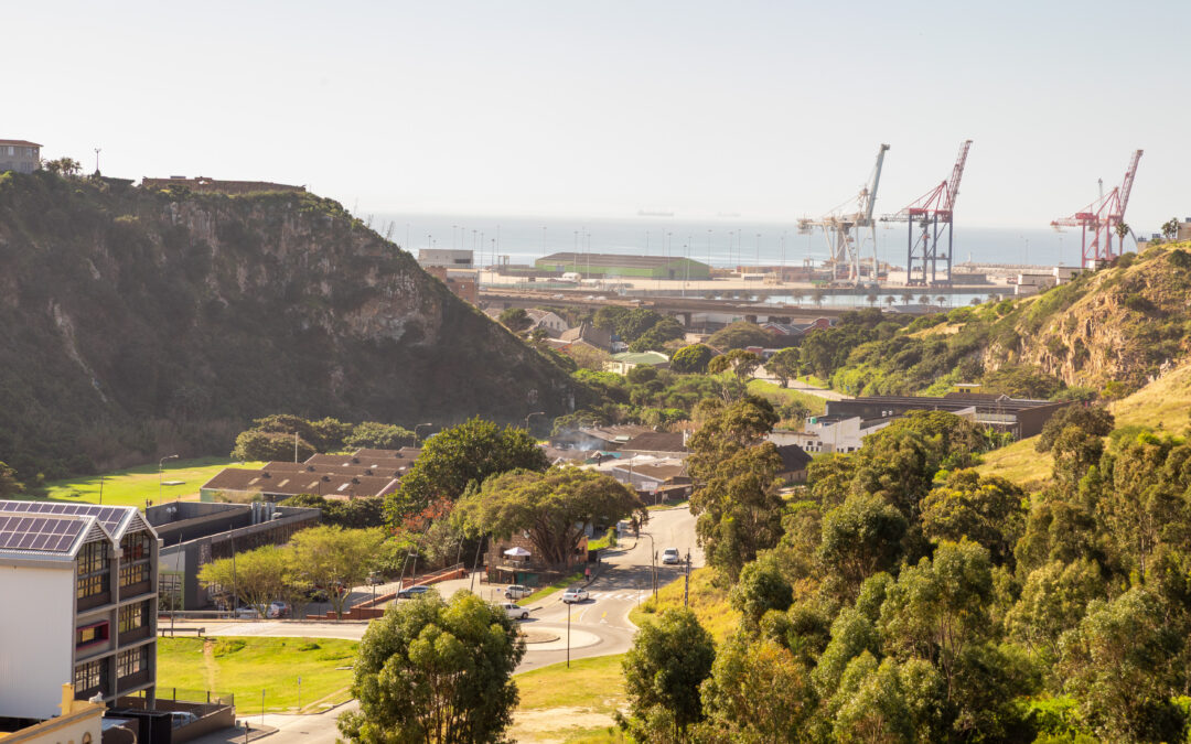 Lower Baakens zipline project good to go (The Herald, 3 July 2026)